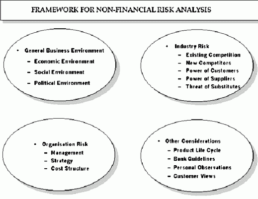 Framework for Non Financial Risk Analysis
