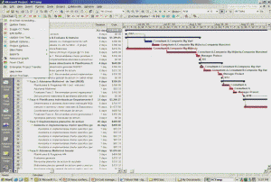 Example of a consulting project plan using Microsoft Project
